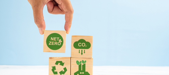 blocchetti quadrati di legno con simboli ambiente in verde e una mano che li allineaa